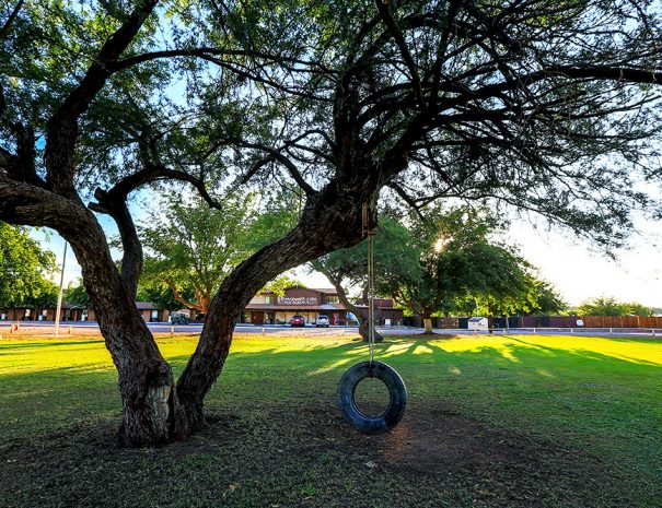 Roosevelt Resort Playground Tire Swing